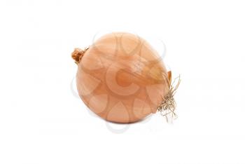 Royalty Free Photo of an Onion
