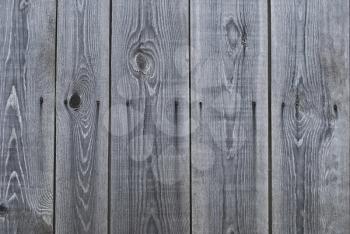 Royalty Free Photo of a Wood Texture Background