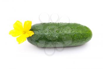 Royalty Free Photo of a Cucumber With a Flower