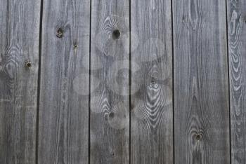 Royalty Free Photo of a Wood Texture Background