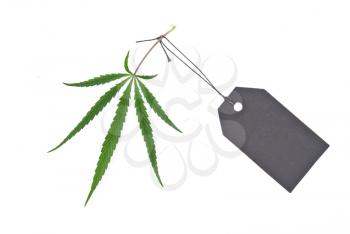 Royalty Free Photo of Cannabis Leaf With a Black Tag