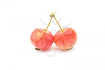 Royalty Free Photo of Small Apples