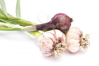 Royalty Free Photo of Garlic and Red Onion