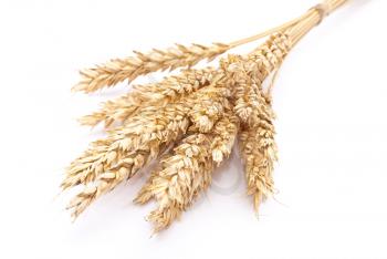 Royalty Free Photo of Wheat Ears