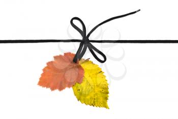 Royalty Free Photo of a Shoelace, Bow With Autumn Leafs