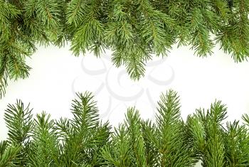 Royalty Free Photo of a Pine Branch Border