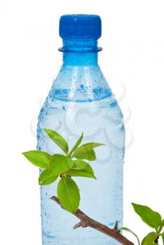 Royalty Free Photo of a Bottle of Water With a Green Apple Branch