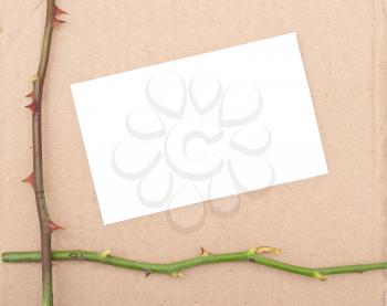 Rose thorn with card 