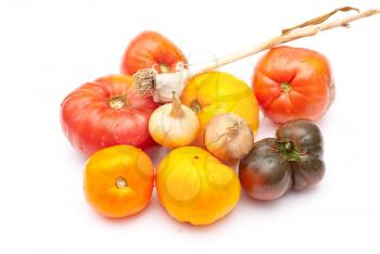 Eco friendly tomatoes,onion and garlic