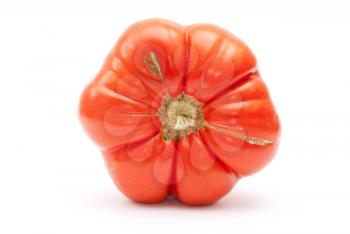 Eco tomato