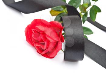 Red rose with black ribbon