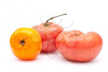 Eco tomatoes 