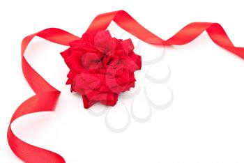 Red rose with red ribbon 