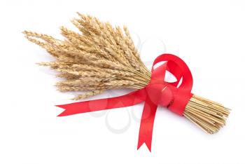 Ears of wheat tied with red ribbon 
