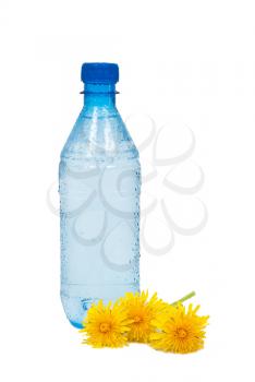 Water bottle and dandelions