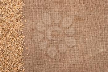 Wheat border on burlap background