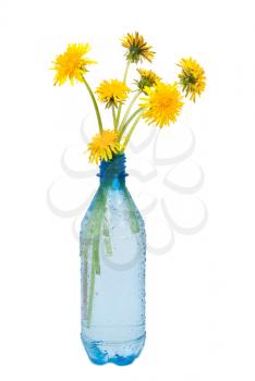 Water bottle and dandelions