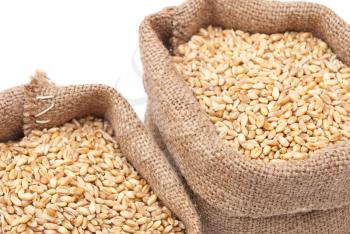Sacks of wheat grains 