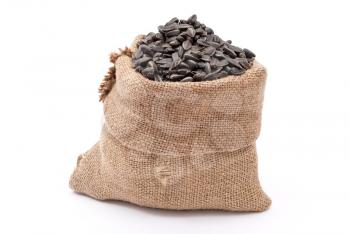 Burlap sack with sunflower seeds 