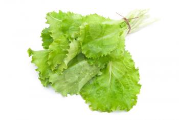 Bunch of green leaves of salad 