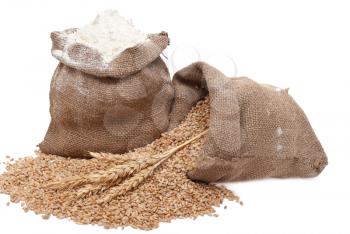 Flour and wheat grain 
