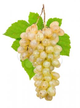 Bunch of ripe grapes