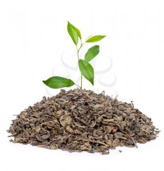 Royalty Free Photo of a Pile of Green Tea Leaves With Leaves in the Center