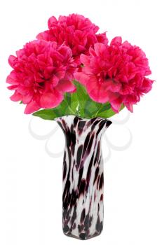 Royalty Free Photo of Pink Peonies in a Vase With Black Markings