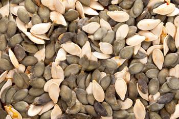 Royalty Free Photo of a Pile of Pumpkin Seeds