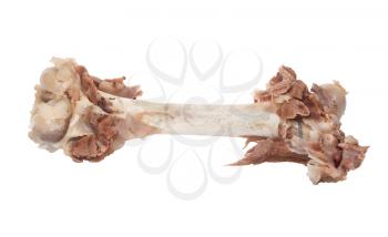 Royalty Free Photo of a Large Bone With Meat Scraps on it