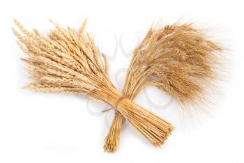 Sheaf of wheat and rye