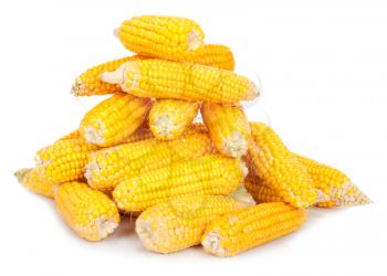Fresh corn
