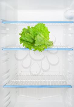 Lettuce in the refrigerator