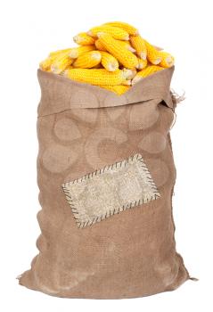Big sack of corn cobs