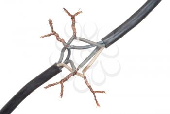 Connection electrical cable 