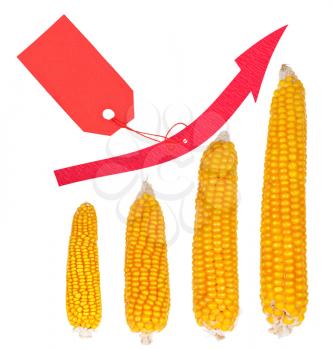 Increase in the price of corn