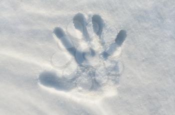 Hand print in snow