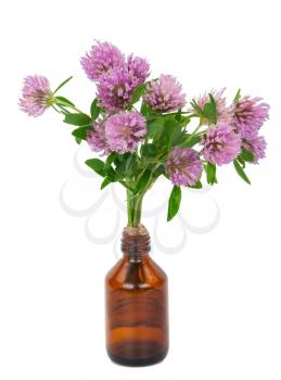 Medicine bottle with clover flowers