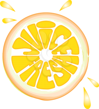 Orange fruits vector illustration, Fresh Juice