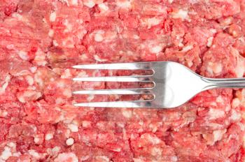 Fresh raw minced meat with fork