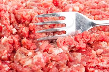 Fresh raw minced meat with fork