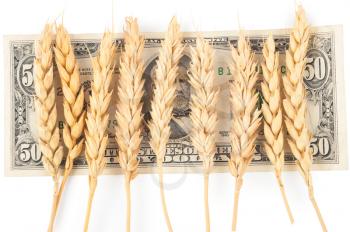 Wheat ears and money