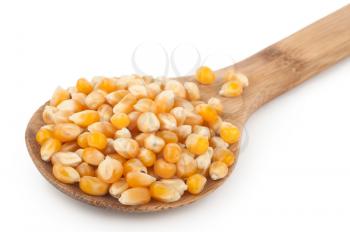 Corn seeds with wooden spoon