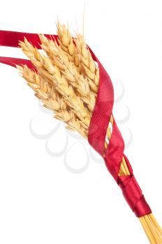 Ears of wheat tied with red ribbon