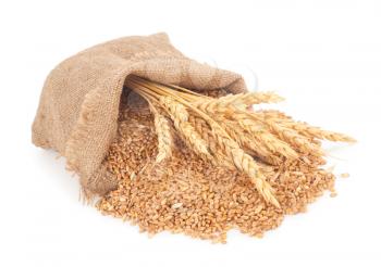 Sacks of wheat grains