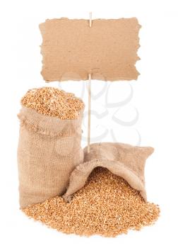 wheat grains with  price tag