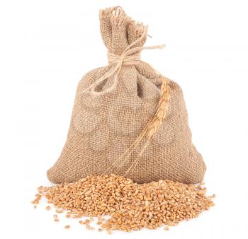 Sack of wheat grains