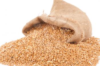 Sack of wheat grains