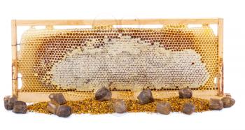 Honeycomb full of honey in wooden frame