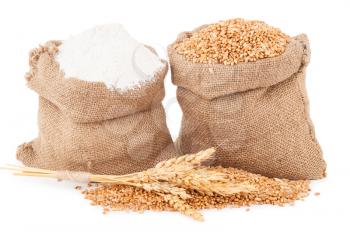  Flour and wheat grain 